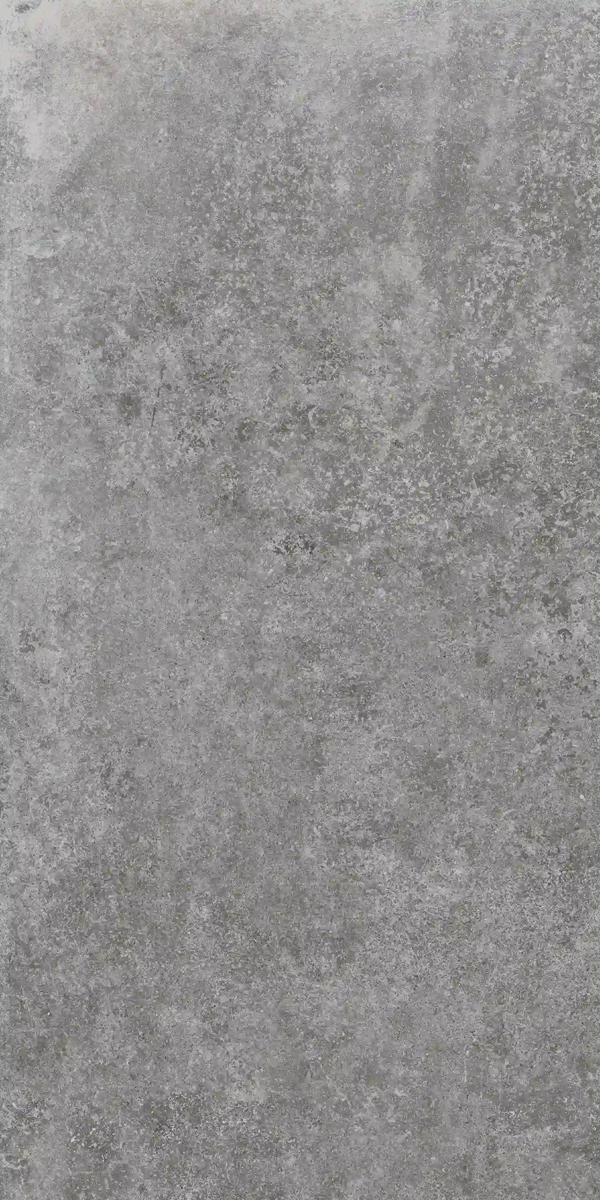 Jungle Stone Silver 30x60cm
